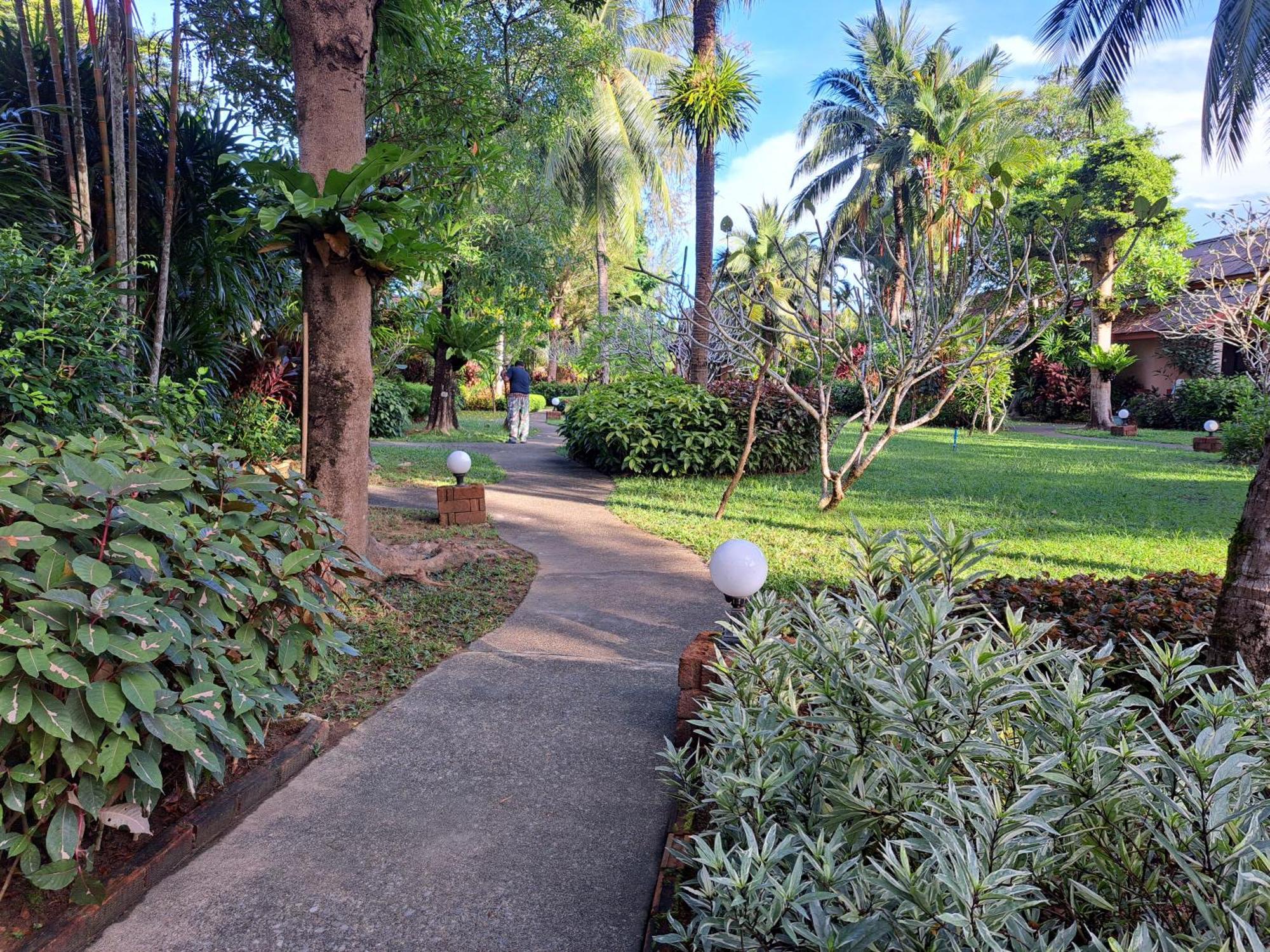 Resor Jasmin - Sha