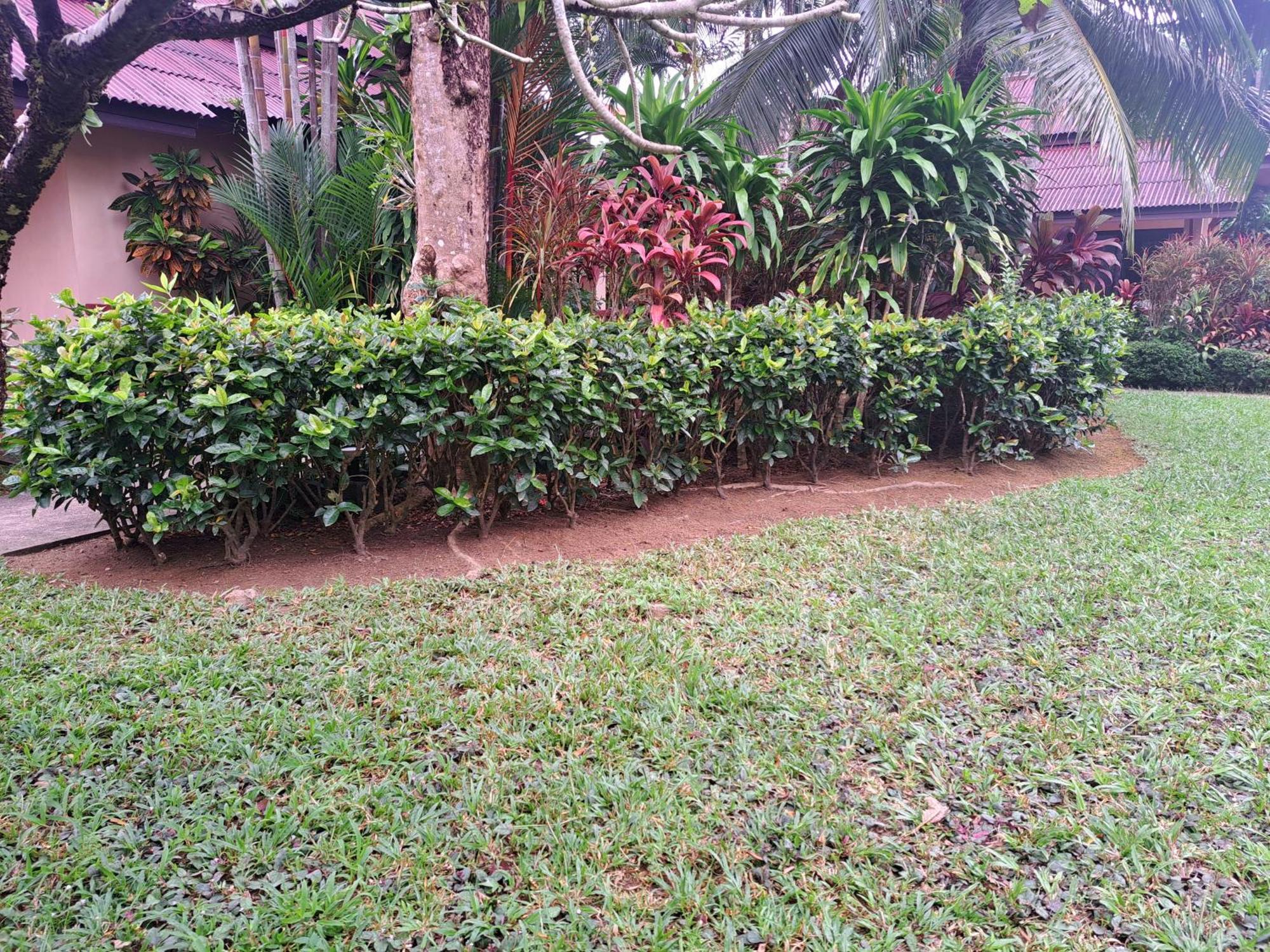 Resor Jasmin - Sha
